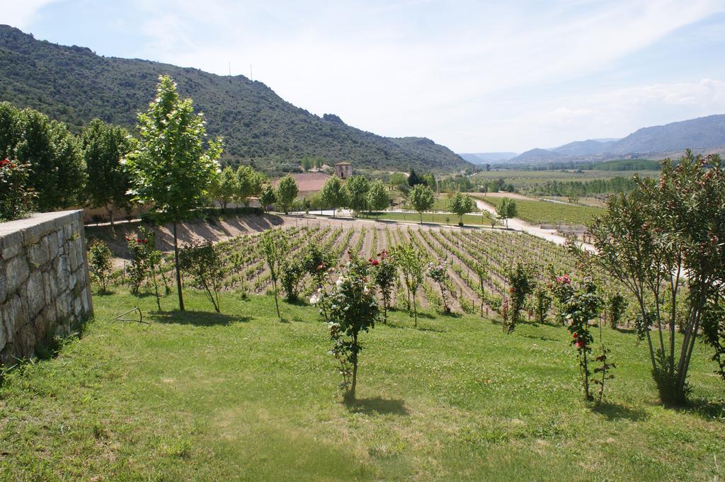 Penzion Quinta Da Terrincha Torre De Moncorvo Exteriér fotografie